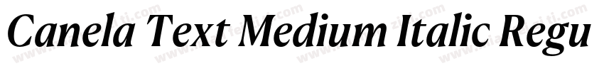 Canela Text Medium Italic RegularVe字体转换